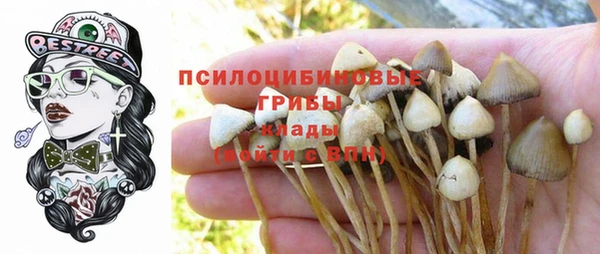 твердый Балабаново