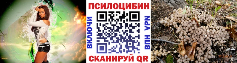 нарко площадка наркотические препараты  закладки  Пестово  Псилоцибиновые грибы ЛСД 